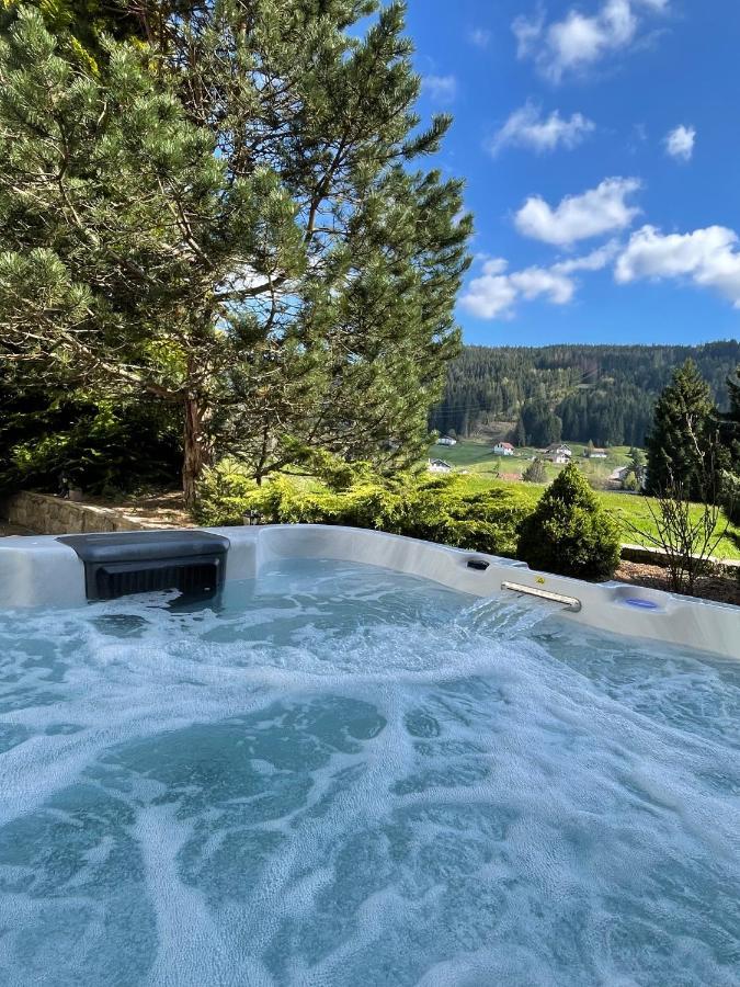 La Charbonniere, Grand Gite Haut-De-Gamme Avec Jacuzzi Et Sauna Gérardmer Екстериор снимка